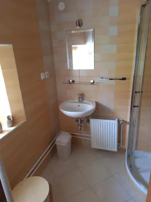 a bathroom with a sink and a toilet and a shower at Apartma Pr Martin in Begunje na Gorenjskem