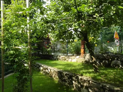 a garden with a stone wall and a tree at Apartma Pr Martin in Begunje na Gorenjskem