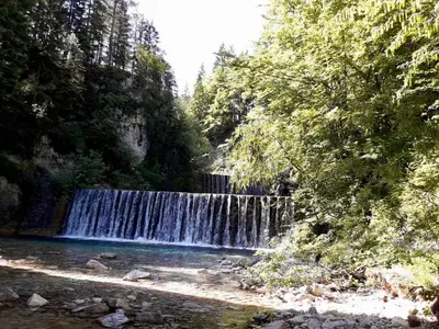 a waterfall in a forest next to a river at Apartma BaLe in Kranjska Gora