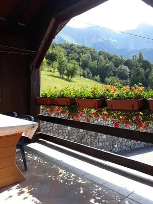 a balcony with a bunch of flowers in pots at Apartmaji Berginc in Kobarid