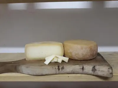 two different types of cheese on a wooden cutting board at Apartmaji Berginc in Kobarid