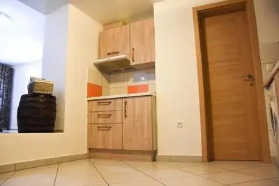 a small kitchen with wooden cabinets and a door at Apartments FABRKA in Ljubljana