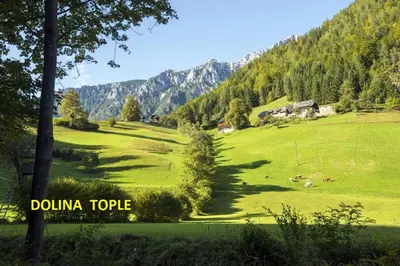 a green field with some animals in the grass at Gostilna PIK in Prevalje