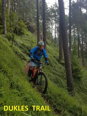 a man riding a bike on a trail in the woods at Gostilna PIK in Prevalje