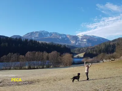 a person standing in a field with a dog at Gostilna PIK in Prevalje