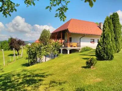 a house with an orange roof on a green hill at Holiday Home Dobrotin in Vojnik