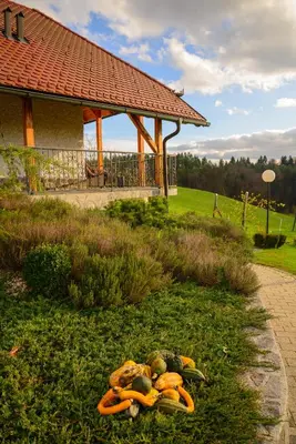 a pile of vegetables on the grass in front of a building at Holiday Home Dobrotin in Vojnik