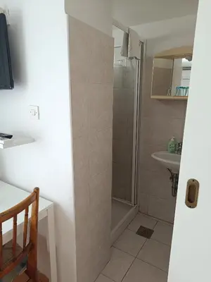 a bathroom with a shower and a sink at Sobe Černilogar in Tolmin