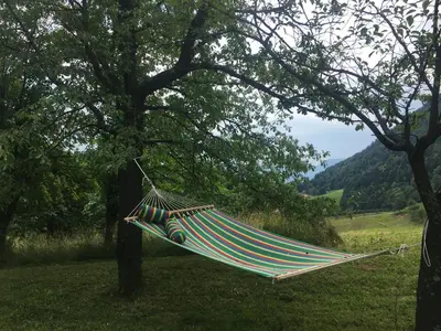 a hammock hanging from a tree in a field at Blue Cottage in Podvrh