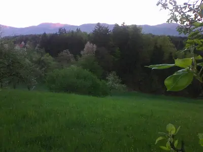 a field of green grass with trees in the background at Blue Cottage in Podvrh