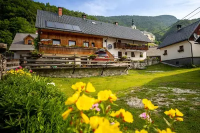 a house with flowers in front of it at Apartments Kocjanc in Bohinj