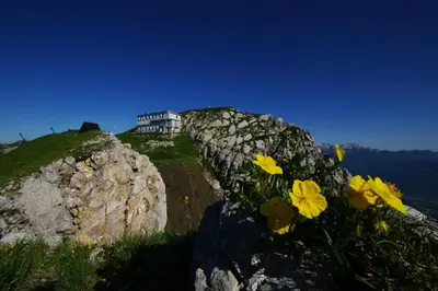 a building on top of a hill with yellow flowers at House Utrinek with free play room, jacuzzy and garage in Podbrdo