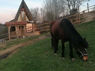 a horse grazing on the grass in front of a house at Ranch at Geta in Razgorce