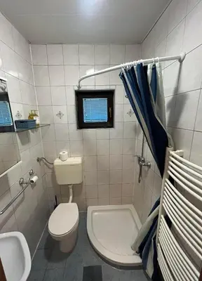 a bathroom with a toilet and a sink at Apartma Karavanke in Hrušica