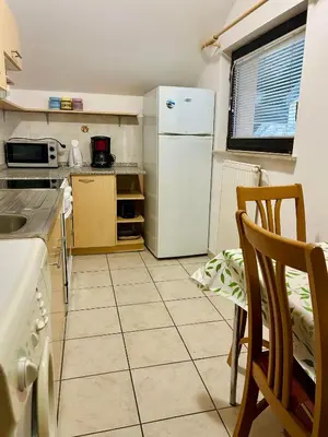 a kitchen with a white refrigerator and a table and chairs at Apartma Karavanke in Hrušica