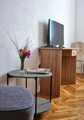 a vase of flowers on a table with a tv at Prenočišča Miklavčič in Nova Vas