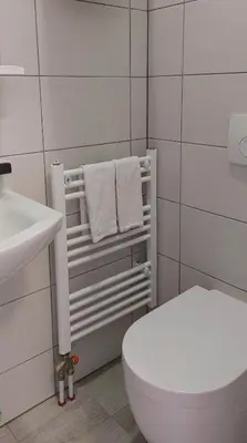 a bathroom with a white toilet and a sink at Prenočišča Miklavčič in Nova Vas