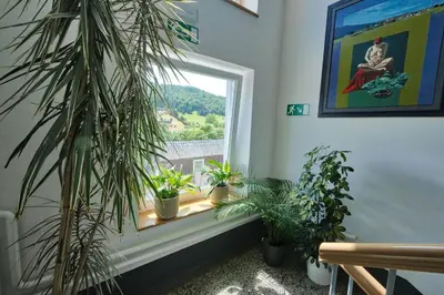 a window with potted plants in a room at Prenočišča Miklavčič in Nova Vas