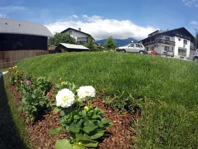 a garden with white flowers in a yard at The Jungle Apartments and Rooms (Vila Džungla) in Bled