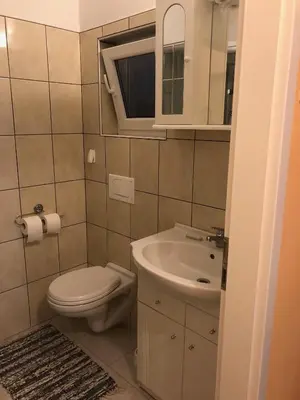 a small bathroom with a toilet and a sink at Apartma Mahnič in Postojna
