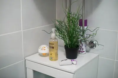 a white shelf with a plant and a bottle of soap at Apartment Zoya in Kranjska Gora