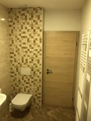 a bathroom with a toilet and a wooden door at Apartma Linhartov trg in Radovljica