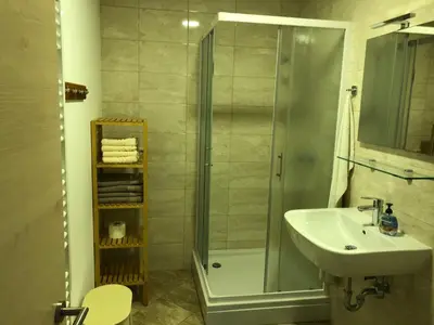 a bathroom with a shower and a sink at Apartma Linhartov trg in Radovljica