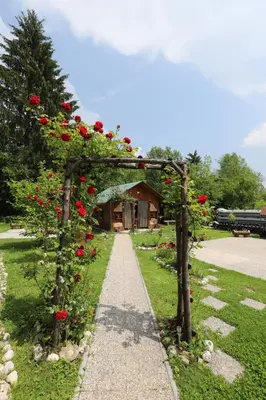 a garden arch with roses on it in front of a house at Adventure Cottage with pool and big garden in Bled