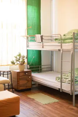 two bunk beds in a room with green walls at Fluxus Hostel in Ljubljana