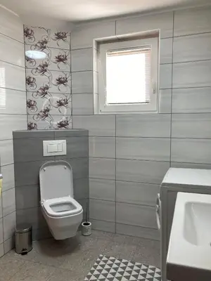 a bathroom with a toilet and a window at Apartment and Garden house among the mountains in Podbrdo