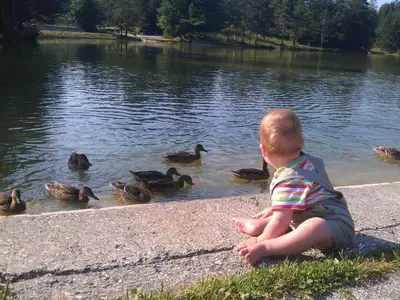 a baby sitting on the curb watching ducks in the water at Hotel Rakitna in Rakitna
