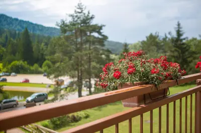 a pot of red flowers on a wooden railing at Hotel Rakitna in Rakitna
