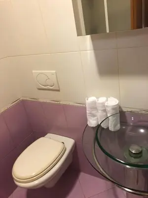 a bathroom with a toilet and a glass table at Motel Sofia in Sežana