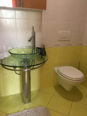 a bathroom with a glass sink and a toilet at Motel Sofia in Sežana