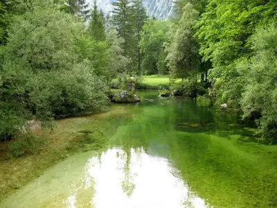 a river with green water and trees in a park at Apartments Lake Bohinj in Bohinj