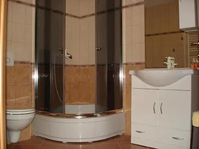 a bathroom with a shower and a toilet and a sink at Apartments Lake Bohinj in Bohinj