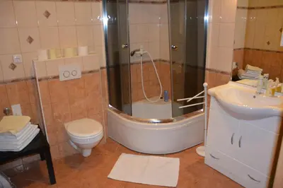 a bathroom with a shower and a toilet and a sink at Apartments Lake Bohinj in Bohinj