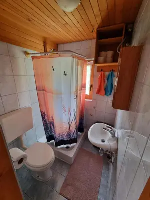 a bathroom with a shower curtain with a toilet and a sink at Mountain apartment Uskovnica in Bohinj