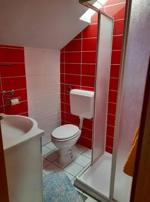 a red bathroom with a toilet and a sink at Tourist Farm Lavrič in Woditz