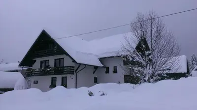 a house covered in snow with a tree at Apartments & Rooms Malej in Bohinj