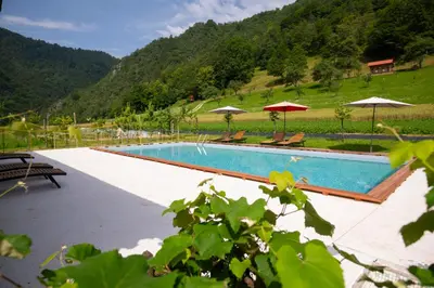 a swimming pool with umbrellas and chairs and a mountain at Tourist Farm Zelinc in Cerkno