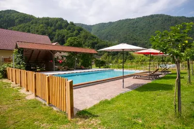 a swimming pool with umbrellas next to a house at Tourist Farm Zelinc in Cerkno