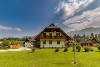 a large house in a field of green grass at APARTMA KOŠNIK in Bohinj