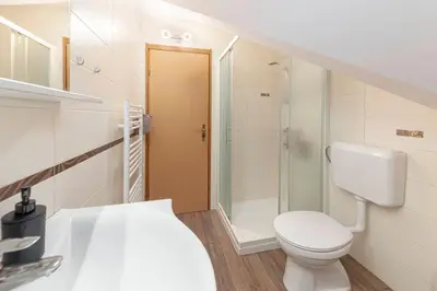 a white bathroom with a toilet and a shower at APARTMA KOŠNIK in Bohinj