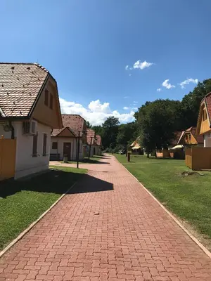 a brick road in a residential neighborhood with houses at Apartma, Prekmurska vas, Trobentica 32 in Moravske Toplice