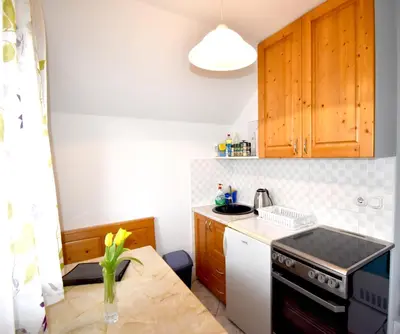 a small kitchen with wooden cabinets and a stove at Apartment Kolman in Bohinj