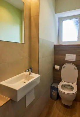 a bathroom with a sink and a toilet at Rooms Pevc & Hostel Ljubno ob Savinji in Ljubno
