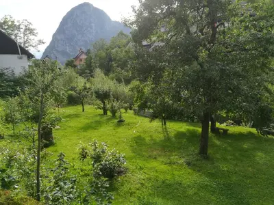 a green field with trees and a mountain in the background at Apartma PR PEKOVCU in Bohinj