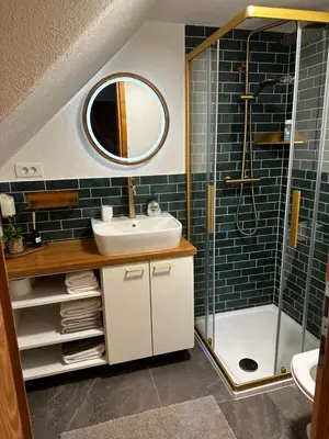 a bathroom with a sink and a shower at Holiday House Franc in Srednja Vas v Bohinju