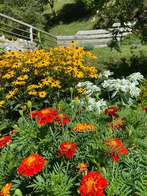 a garden filled with red and yellow flowers at Turistična kmetija Čerček in Solčava